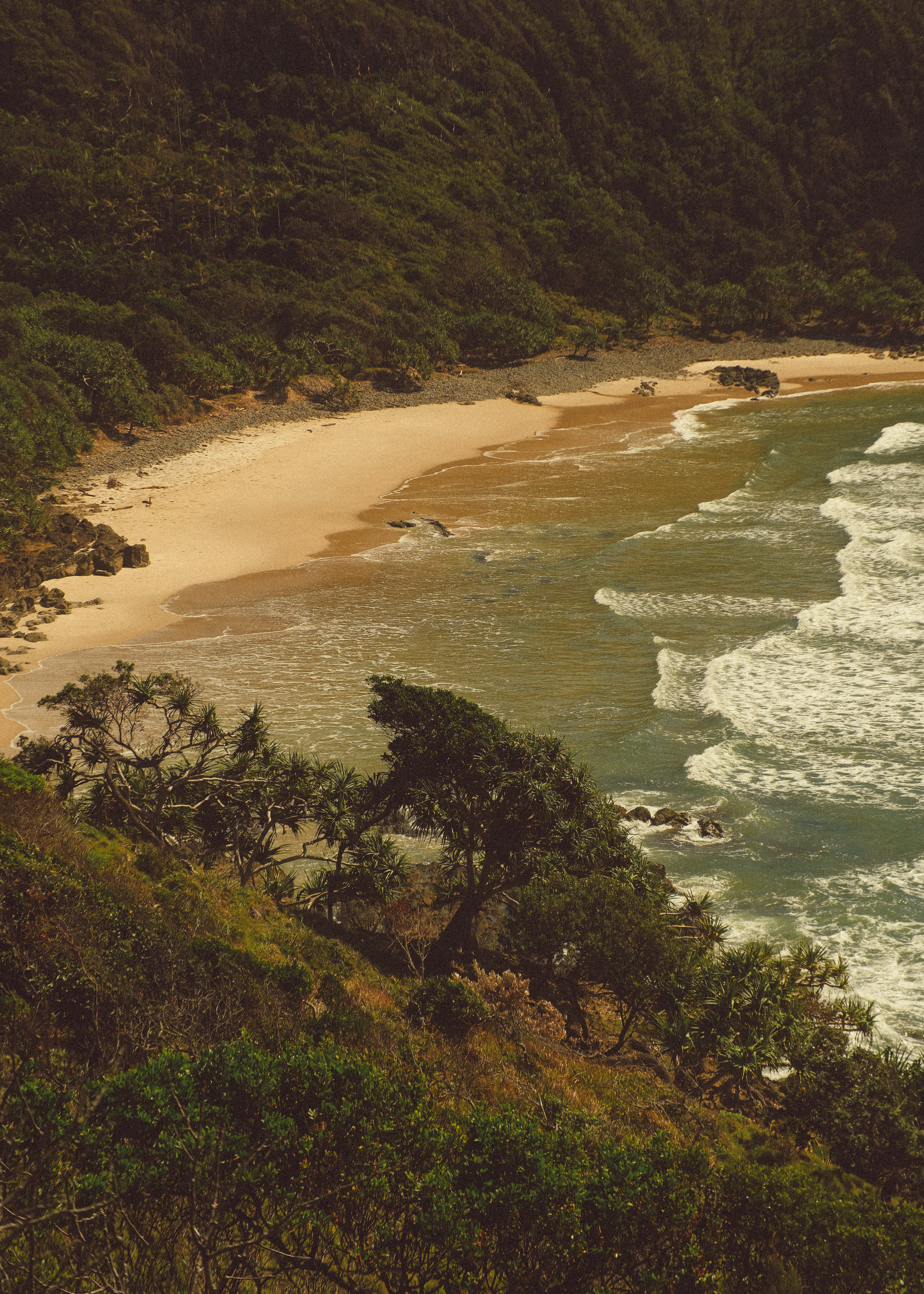 Coastal landscape