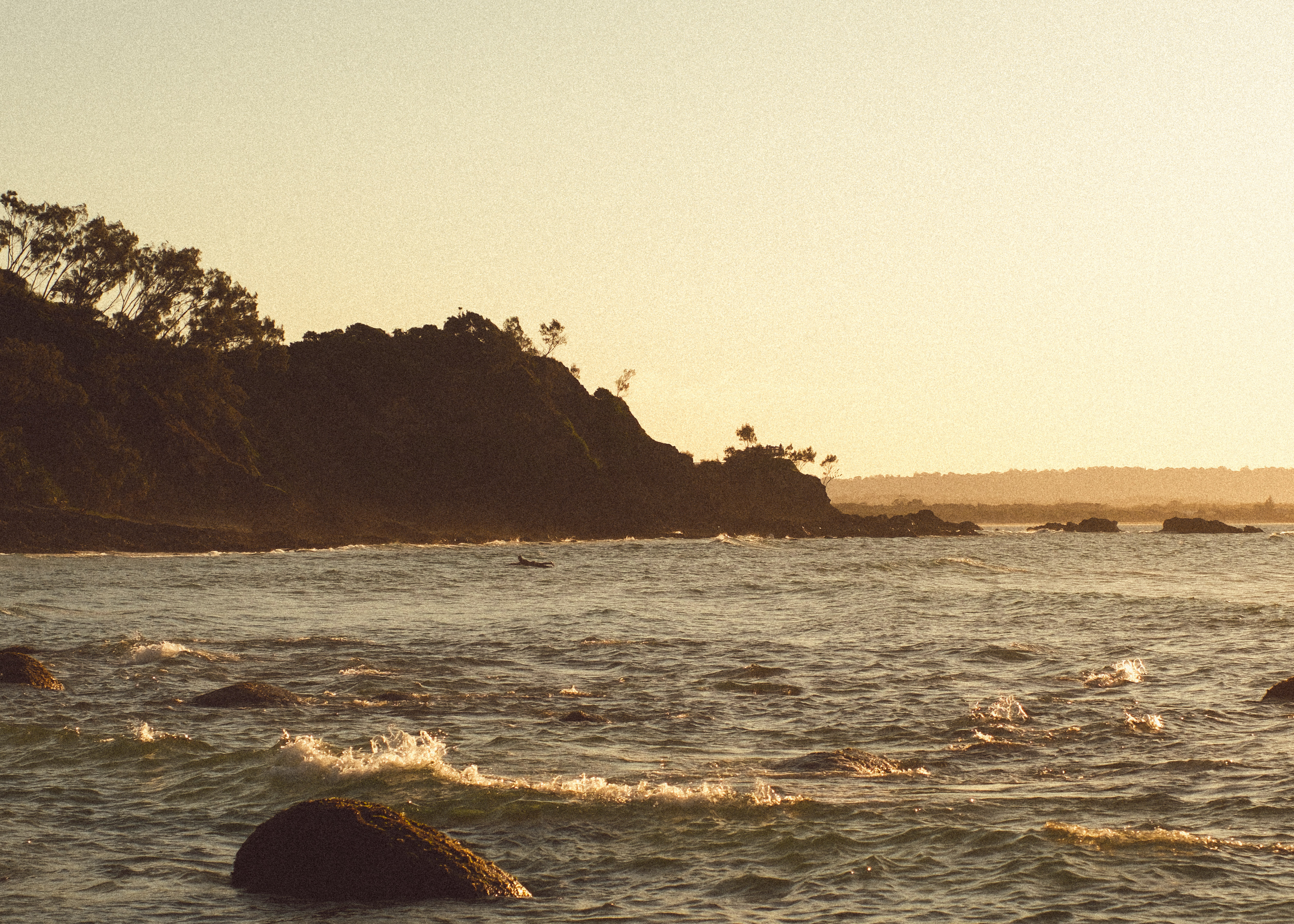 Coastal landscape